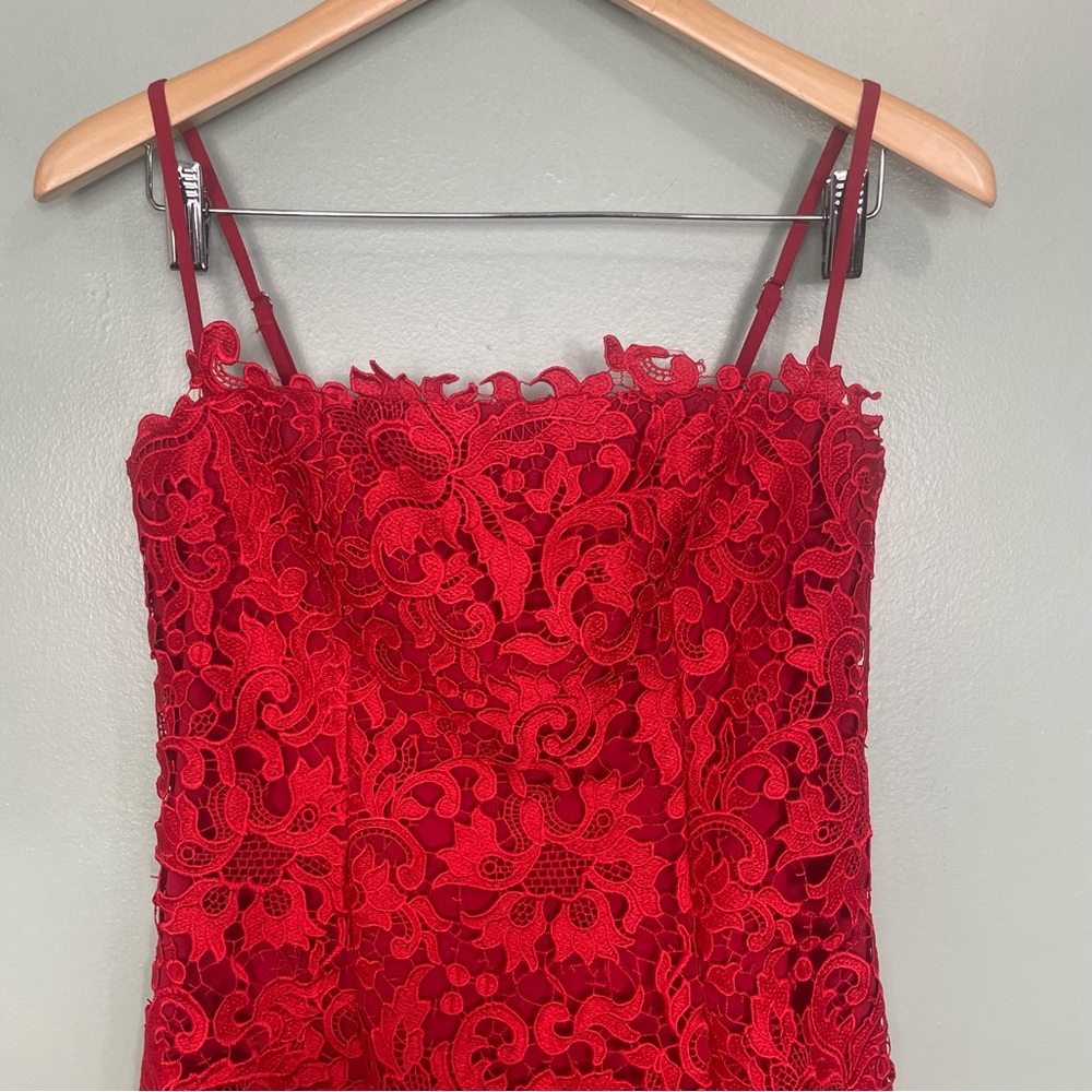 Revolve NBD Yosemite Mini Dress in Red Cherry Laced Floral Lined Size Small - Picture 4 of 10